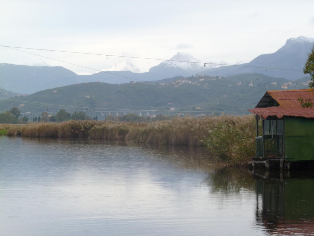 Le Ginestre B & B Массароза Экстерьер фото